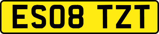 ES08TZT