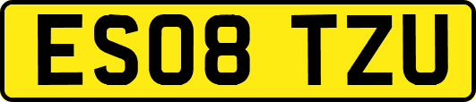 ES08TZU