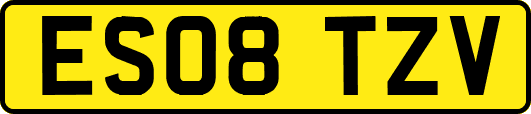 ES08TZV