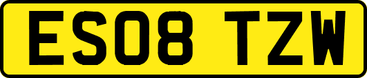 ES08TZW