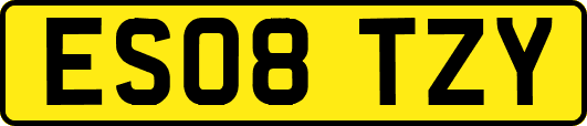 ES08TZY