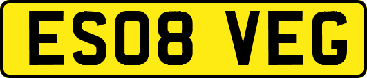 ES08VEG