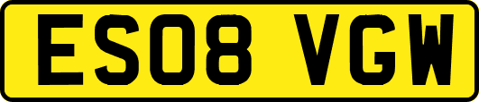 ES08VGW