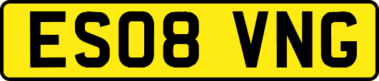 ES08VNG