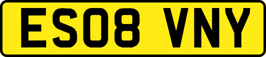 ES08VNY