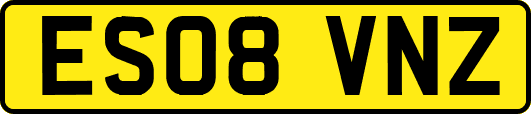 ES08VNZ