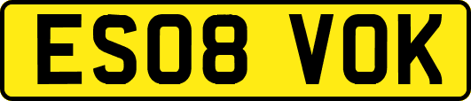 ES08VOK