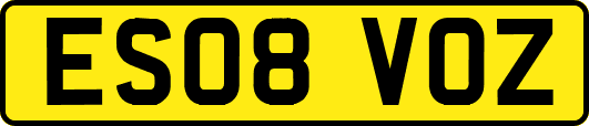 ES08VOZ