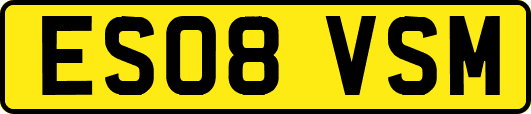 ES08VSM