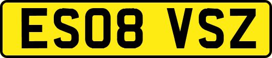 ES08VSZ