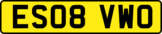 ES08VWO