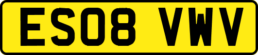 ES08VWV