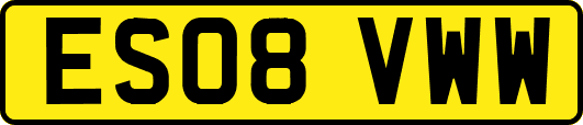 ES08VWW