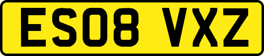 ES08VXZ