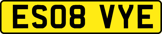 ES08VYE