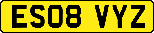 ES08VYZ