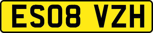 ES08VZH