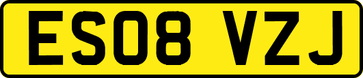 ES08VZJ