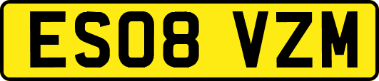 ES08VZM