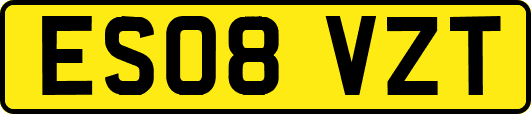 ES08VZT