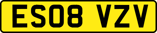 ES08VZV