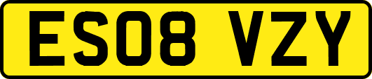 ES08VZY