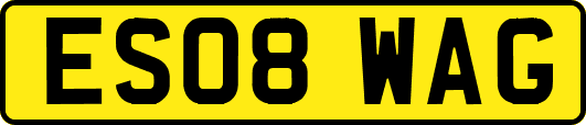 ES08WAG