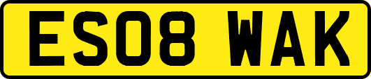 ES08WAK