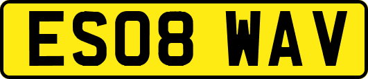 ES08WAV