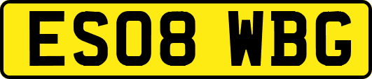 ES08WBG