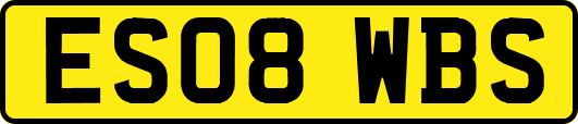 ES08WBS
