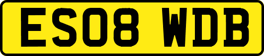 ES08WDB