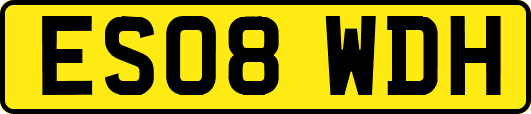 ES08WDH