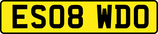 ES08WDO