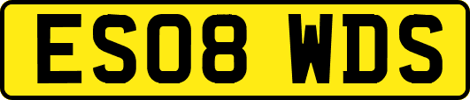 ES08WDS