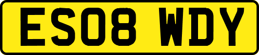 ES08WDY