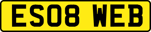 ES08WEB