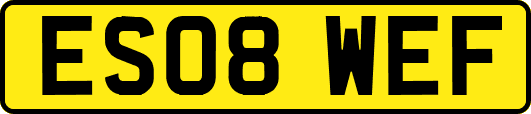 ES08WEF