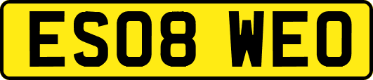ES08WEO