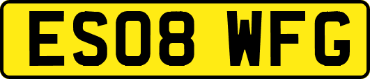 ES08WFG
