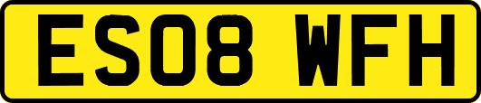 ES08WFH