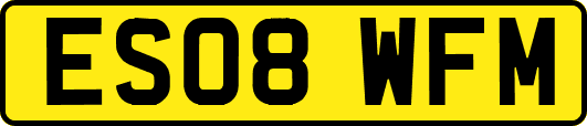 ES08WFM