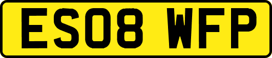 ES08WFP