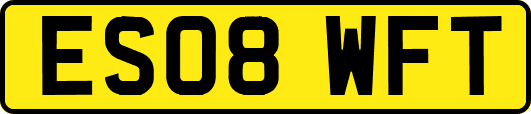 ES08WFT