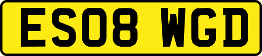 ES08WGD