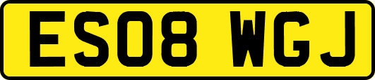 ES08WGJ