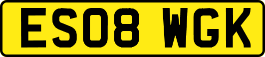ES08WGK