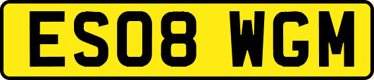 ES08WGM