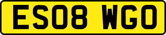 ES08WGO