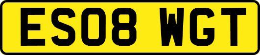 ES08WGT